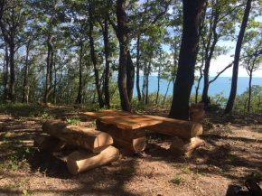 Camping Gorizont
